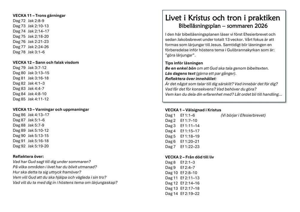 Bibelplansommar26sid1o4.jpg